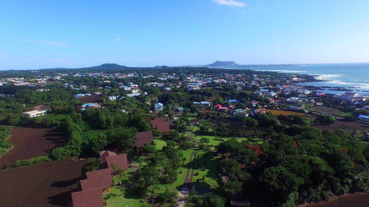 Jeju Bille Log Pension Согвипхо Экстерьер фото